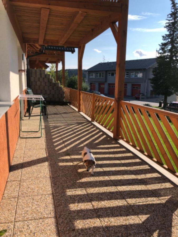 Apartmany Eva Frymburk Exterior photo